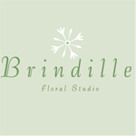 logo_brindille